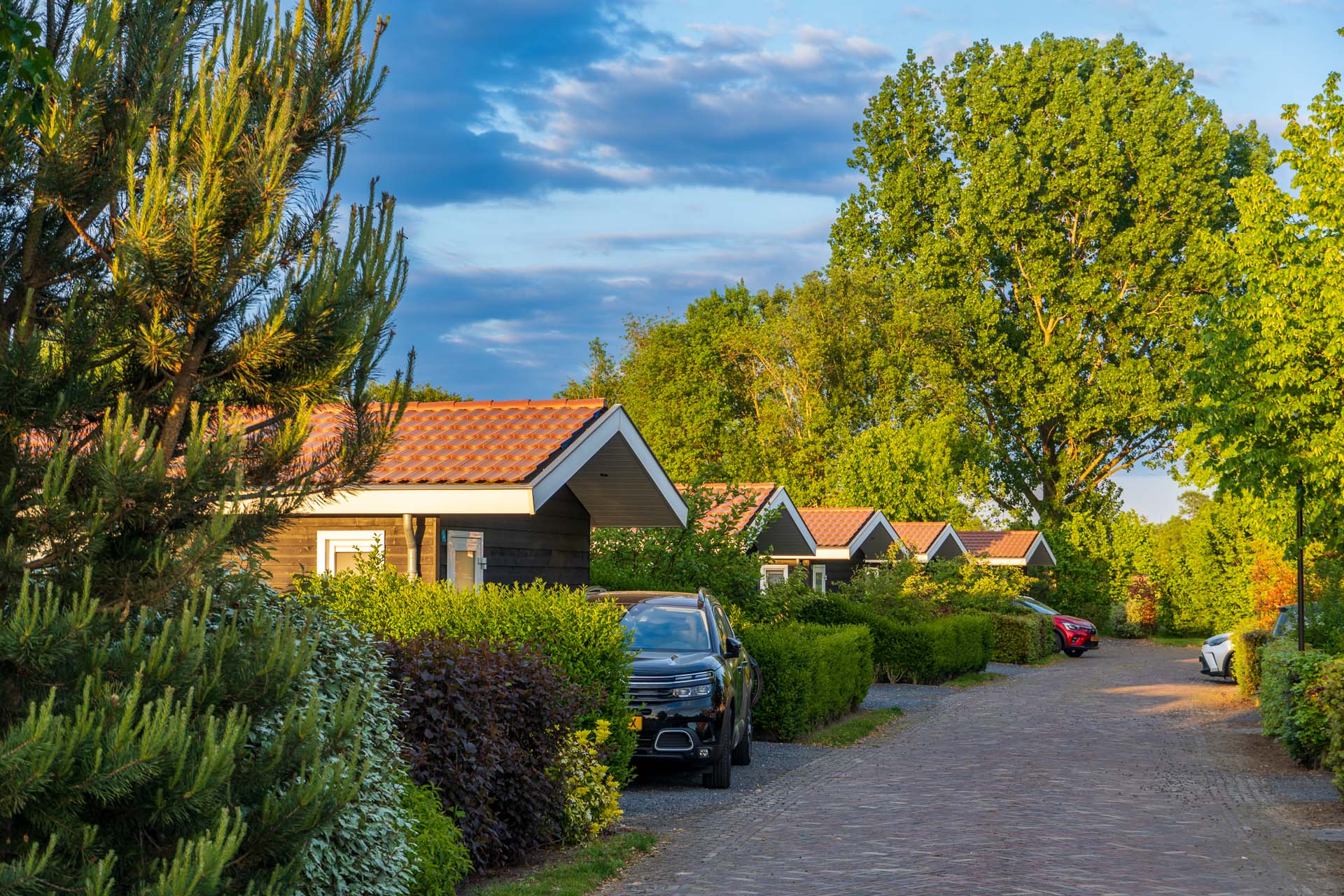 Die Ferienhaussiedlung besteht aus ca. 100 teilweise verschiedenen Ferienhäuser... Image