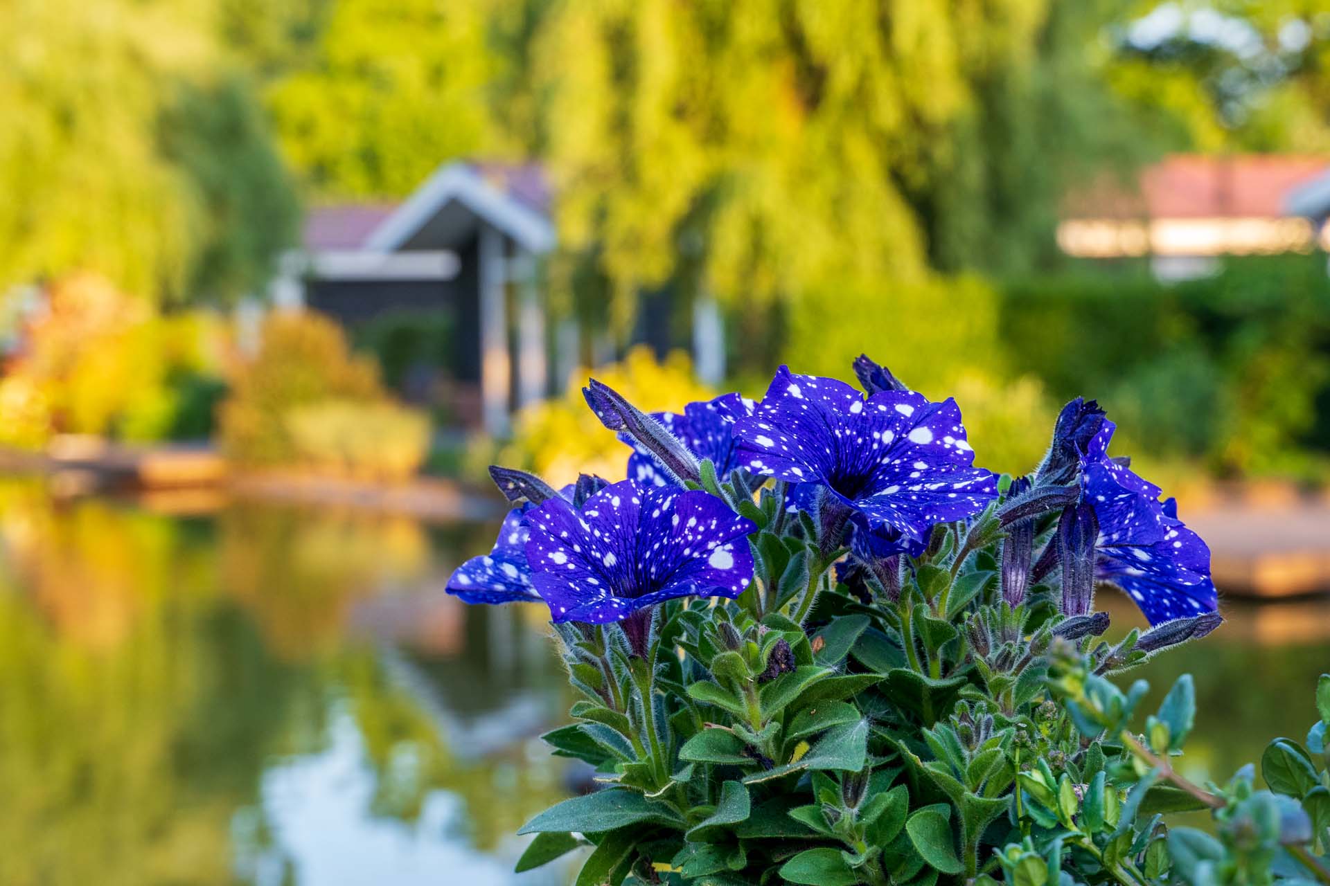 Alles mit Geschmack und Liebe gestaltet... Image