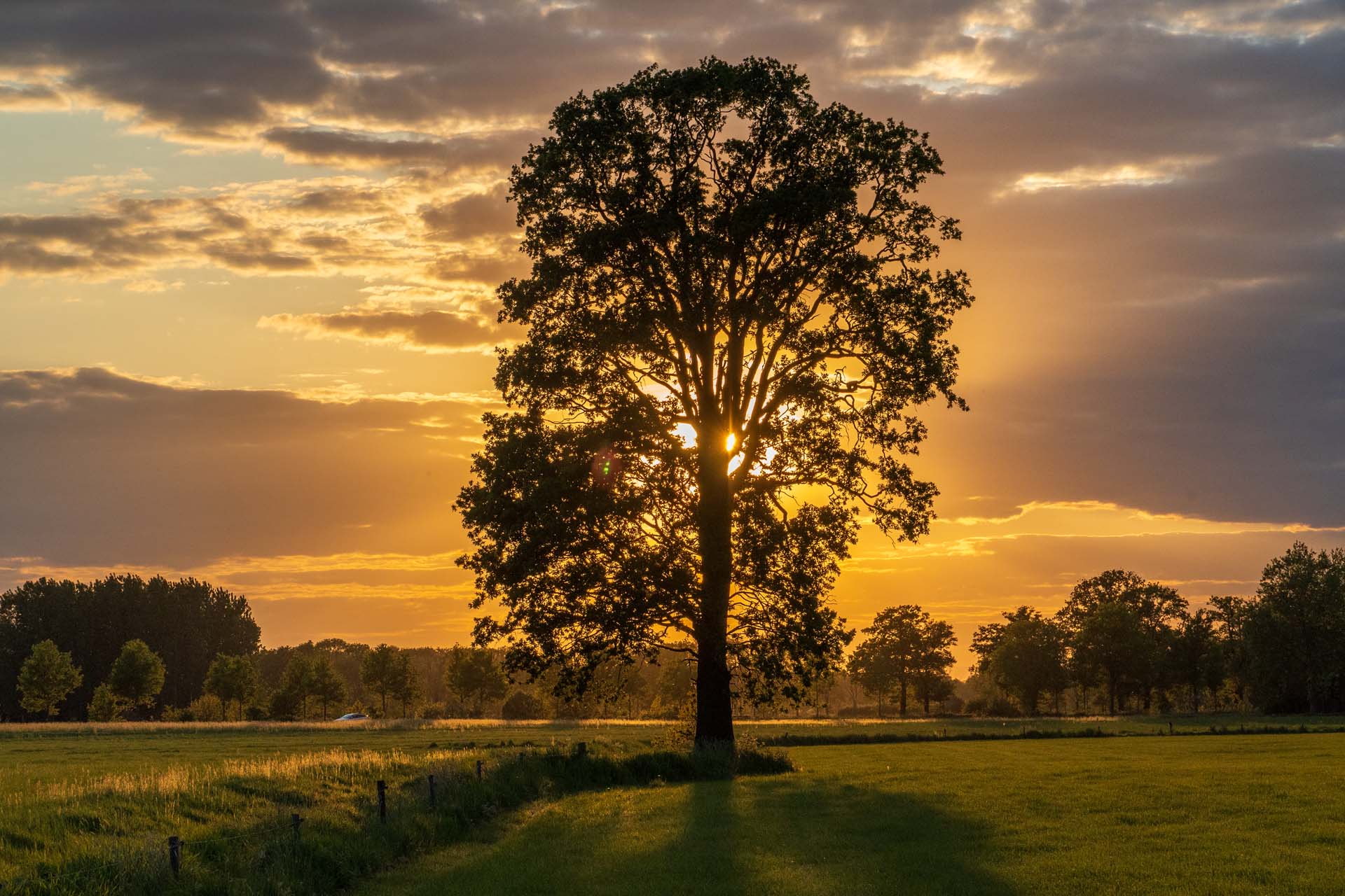 Ein sehr schöner Tag neigt sich dem Ende zu... Image