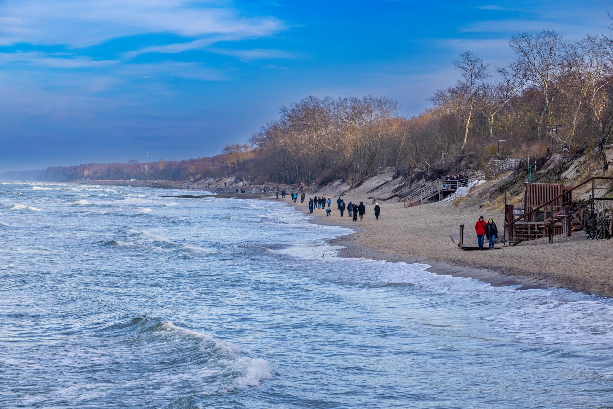 20241229---9236---Kopie